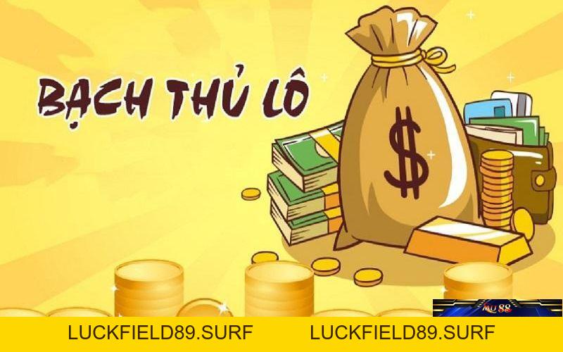 Bạch Thủ Lô Là Gì - Tìm Hiểu Những Thông Tin Chi Tiết