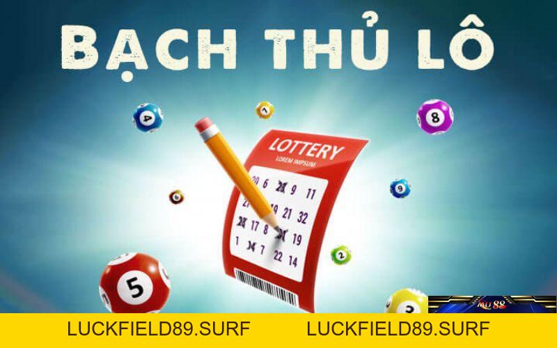 Bạch Thủ Lô Là Gì - Tìm Hiểu Những Thông Tin Chi Tiết