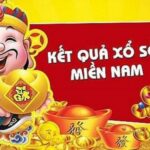 Chơi Game Bầu Cua Miễn Phí Ở Đâu? Cùng MU88 Tìm Hiểu