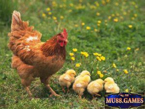 Lô Đề Xổ Số Mu88 | Sân chơi cá cược trực tuyến uy tín