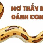 Mơ Thấy Cá Có Ý Nghĩa Gì? Giải Đáp Nhanh