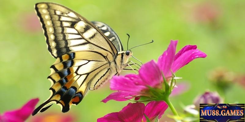 Xổ số Mu88 chuyên mục được đón đọc mỗi ngày