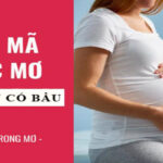 Mơ thấy mình có bầu – Những phát hiện thú vị cho lô thủ