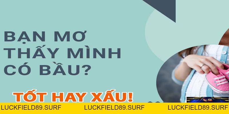 Mơ thấy mình có bầu – Những phát hiện thú vị cho lô thủ
